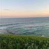 charlotte_evitt